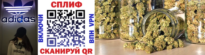 Канабис гибрид  Купить где  Хасавюрт 